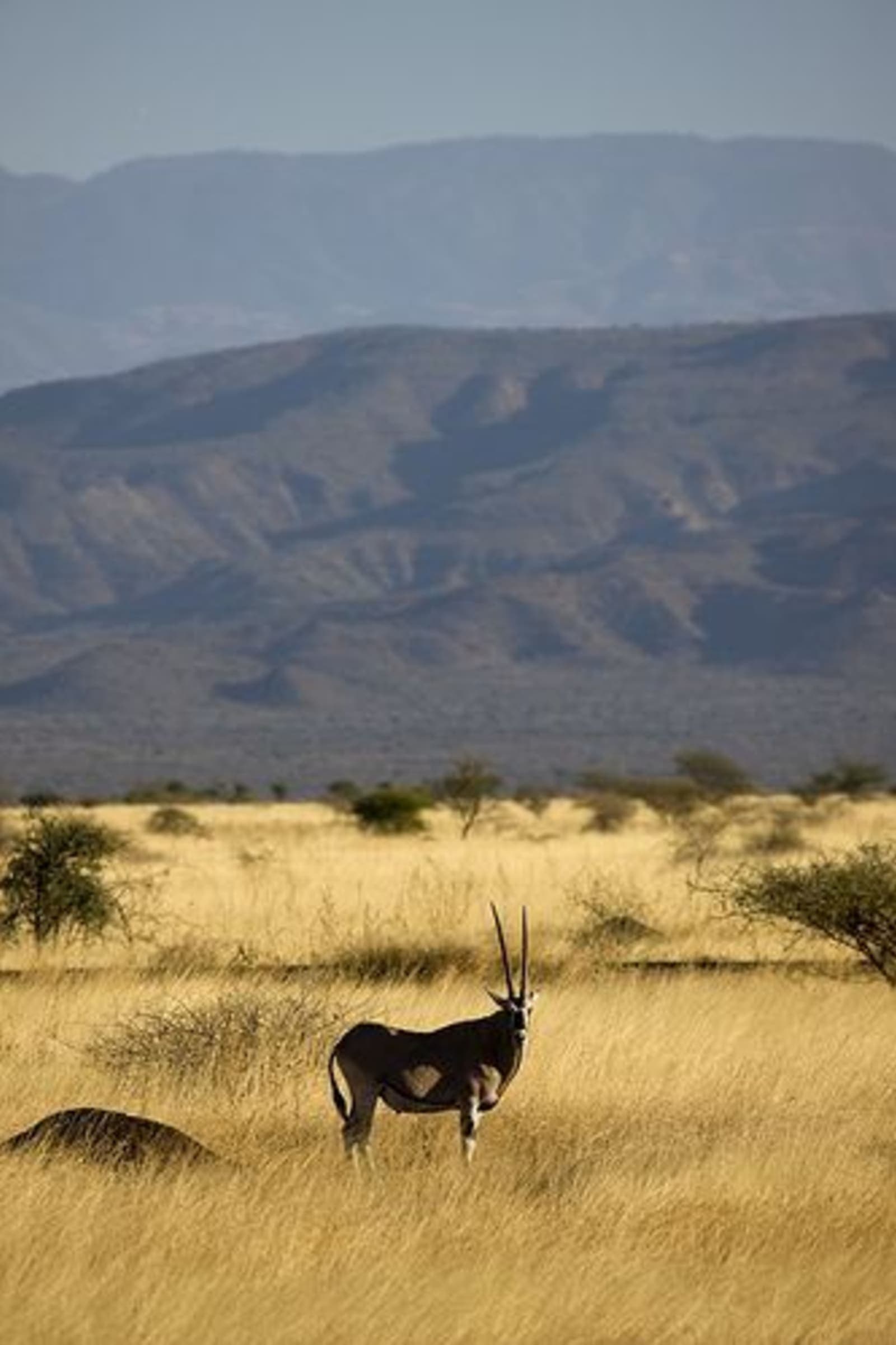 Awash National Park wilderness landscape in Ethiopia