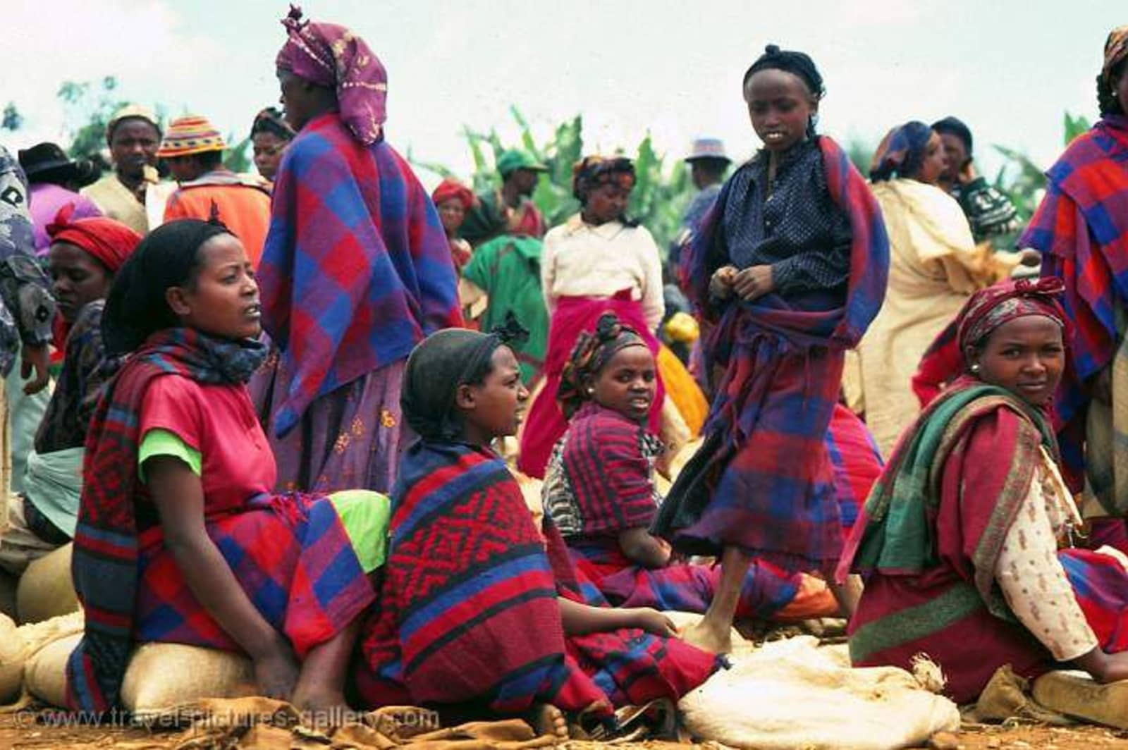 Dorze cultural village route in Southern Ethiopia