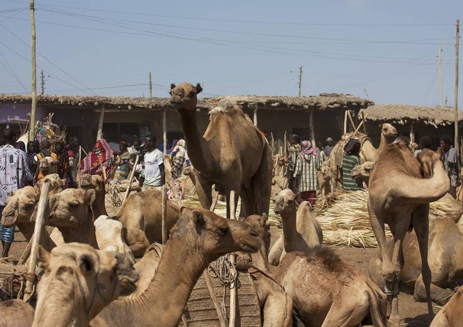 Semera destination in Ethiopia