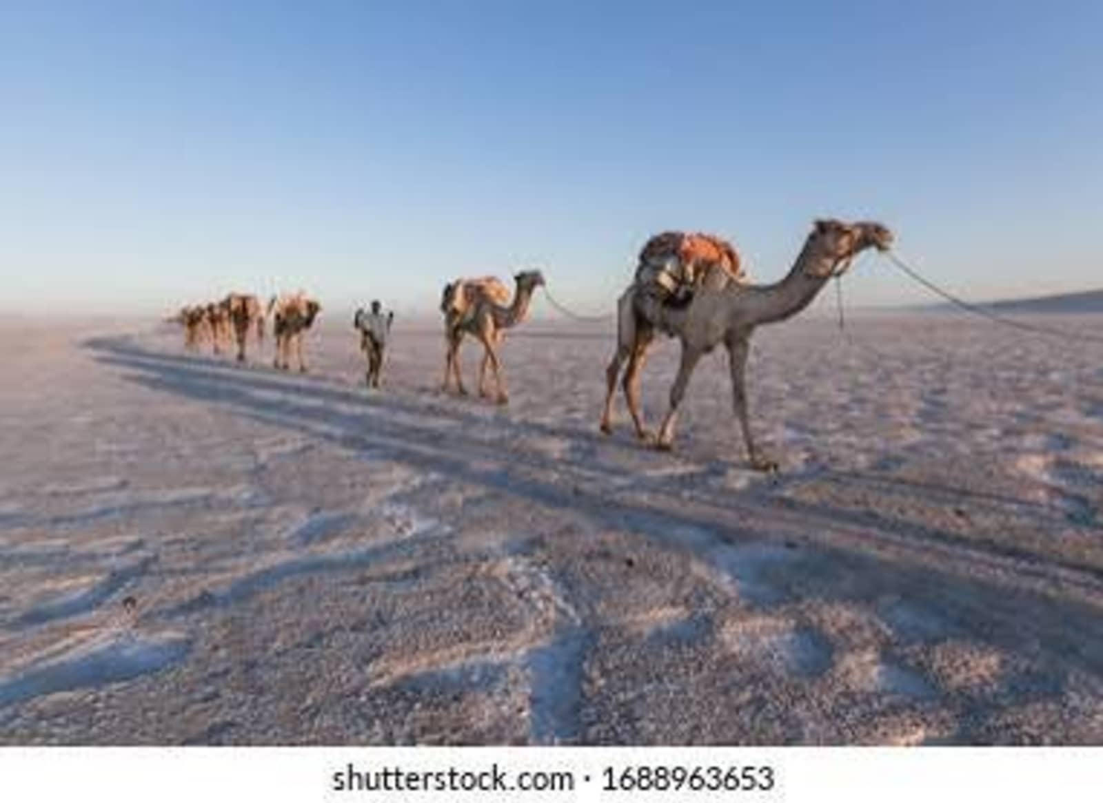 Hamed Ela destination in Ethiopia