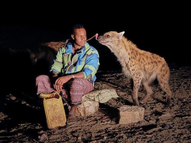 Harar cultural and historical tour in eastern Ethiopia