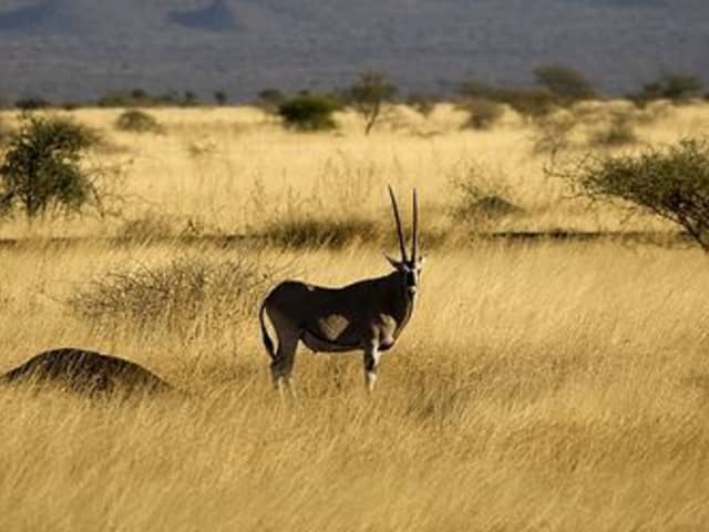 Awash National Park wilderness landscape in Ethiopia