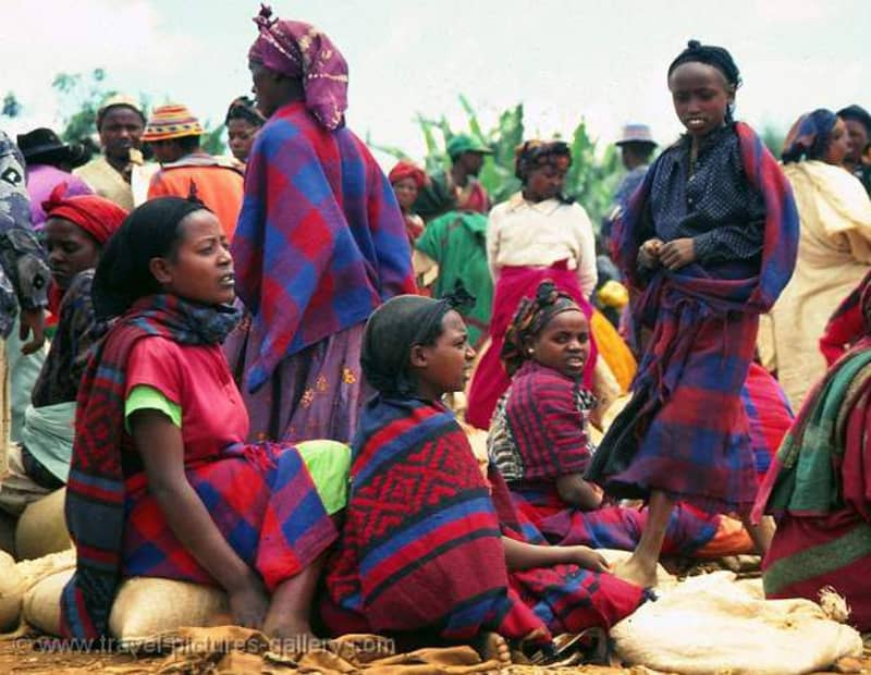 Ethio Origins tour gallery image 72
