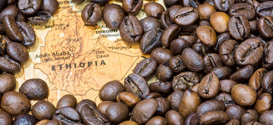 8-Day Ethiopian Coffee Origin Tour